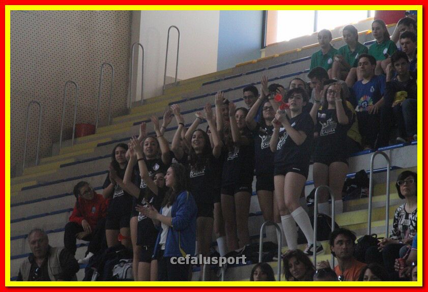 140501 Volley3 346_tn.jpg